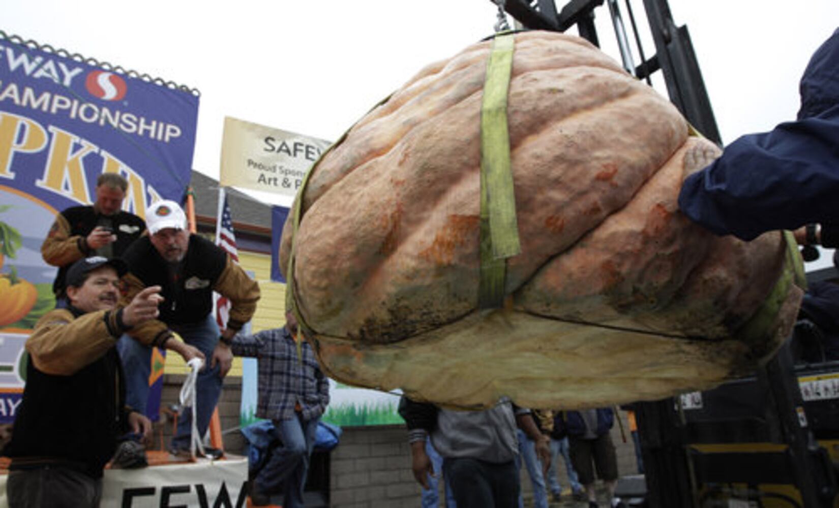 Half Moon Bay's giant pumpkin contest