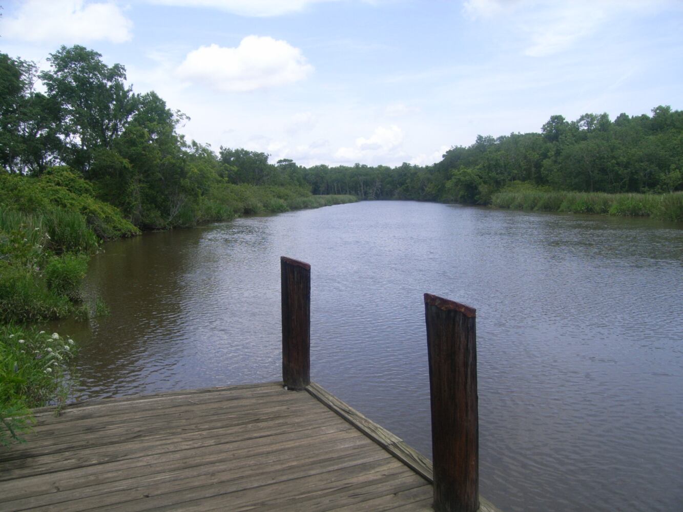 wildlife corridor