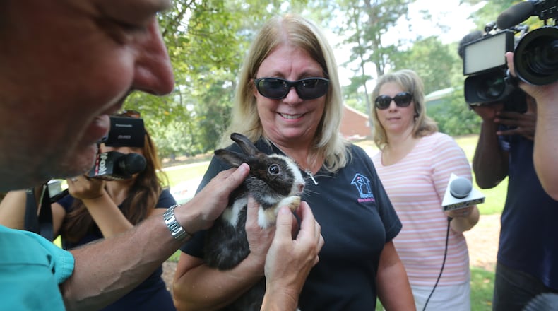 Georgia House Rabbit Society volunteer Edie Sayeg said her heart breaks for the rabbits found in overcrowded pens in Gwinnett County. (BEN GRAY / BGRAY@AJC.COM)