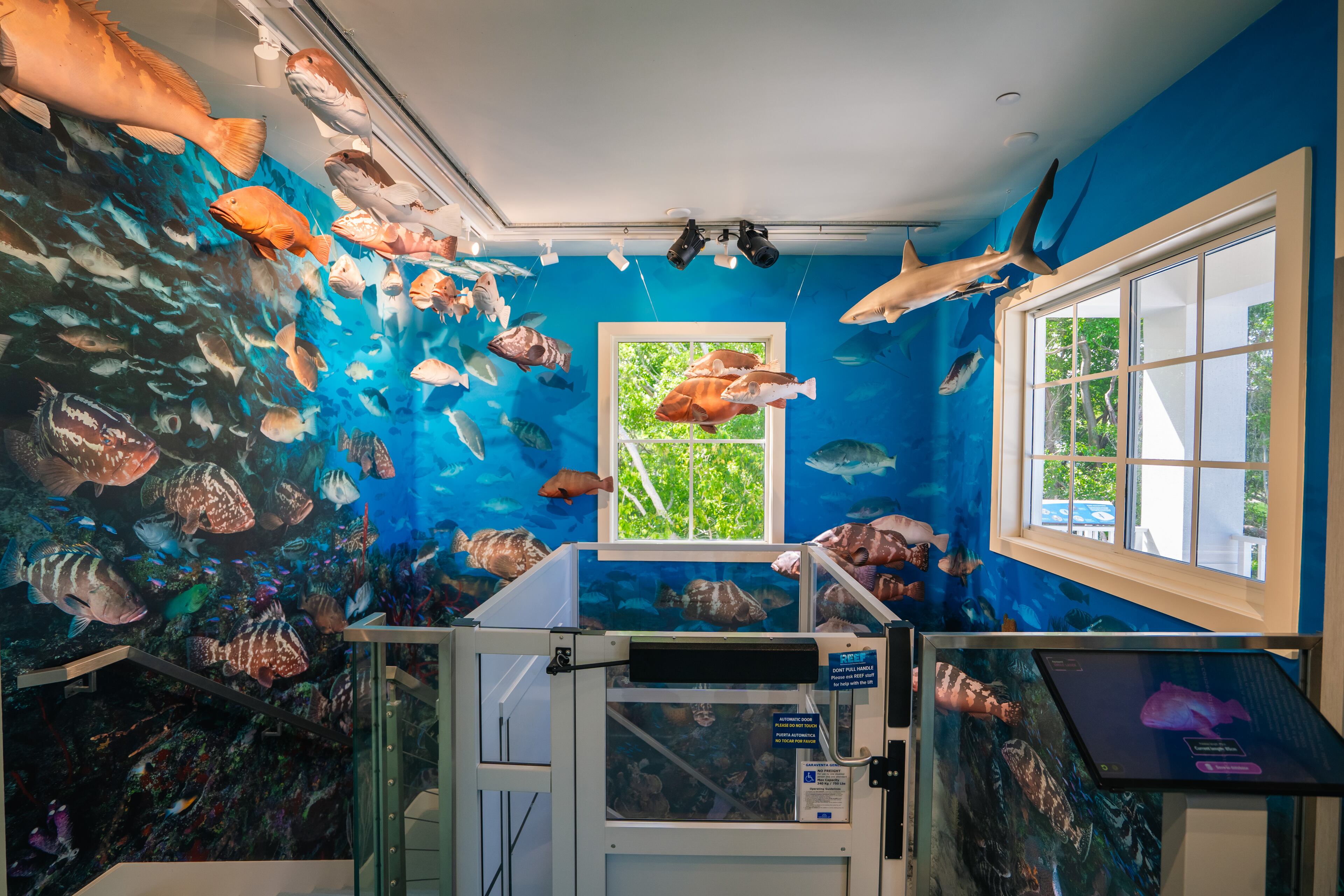 An exhibit of suspended lifelike sculptures of various Florida fish species at the REEF Ocean Exploration Center. (Courtesy/ REEF Ocean Exploration Center)
