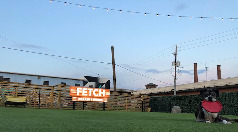 Photo courtesy of Stephen Ochs