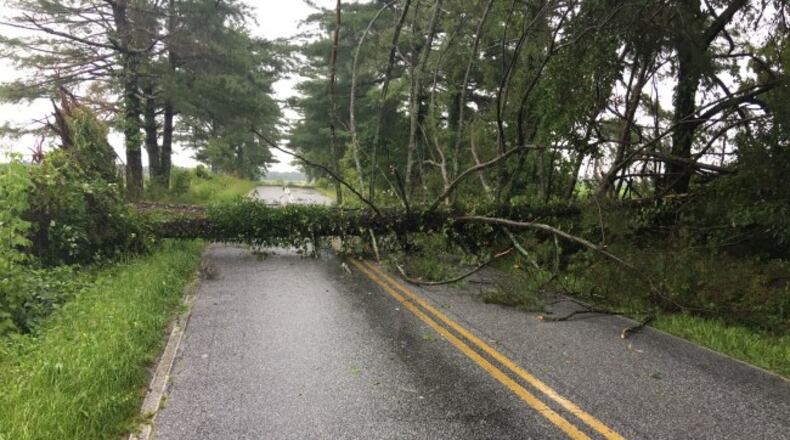 Duluth offering free yard debris removal after the storm.					Courtesy City of Duluth