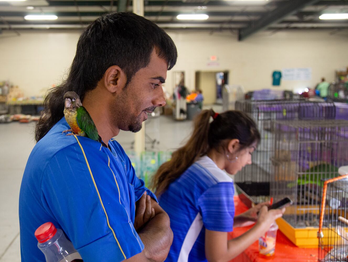 PHOTOS: SA Exotic birds