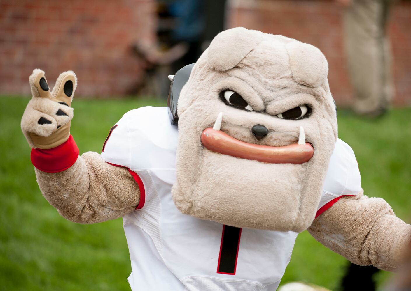 Bulldogs cruise to 34-0 win