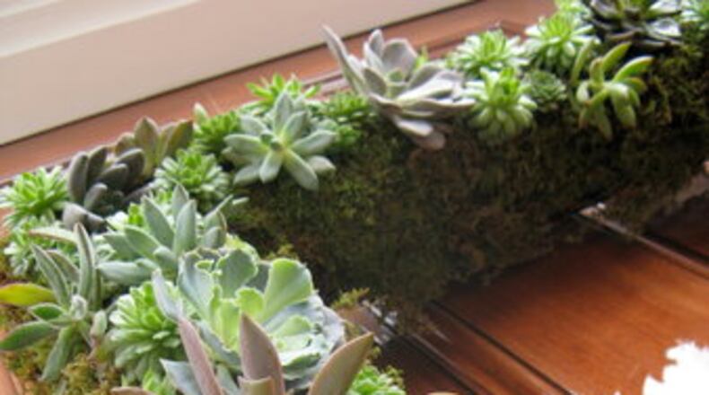 All for free, excerpts from the Georgia Dance Theatre's Nutcracker on Dec. 7 and a workshop on decorating with live garland on Dec. 8 will be presented at Fayette Senior Services, The Life Enrichment Center, 4 Center Drive, Fayetteville. (Courtesy of Katie Leslie/kleslie@ajc.com)