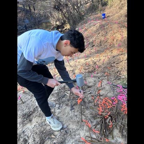 Chamblee High School student Maximo Luciani puts live plant stakes on Bubbling Creek near the school. Students were able to plant nearly 1,000 live stakes in erosion-afflicted areas. (Courtesy)