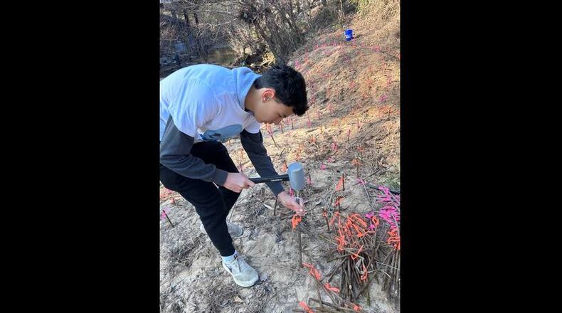 Chamblee High School student Maximo Luciani puts live plant stakes on Bubbling Creek near the school. Students were able to plant nearly 1,000 live stakes in erosion-afflicted areas. (Courtesy)