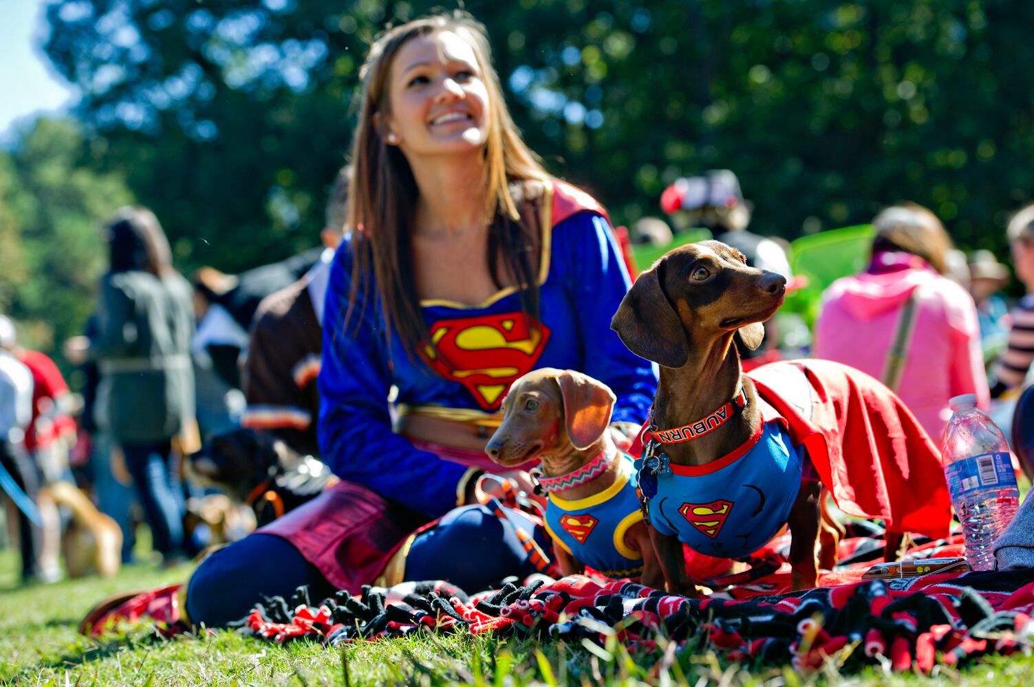 Howl-O-Weenie in Dunwoody