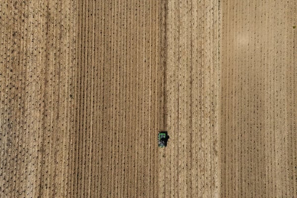 A tractor driving through the Chablis vineyards in Chablis, Burgundy region, eastern France, Thursday, April 3, 2025. (AP Photo/Thibault Camus)