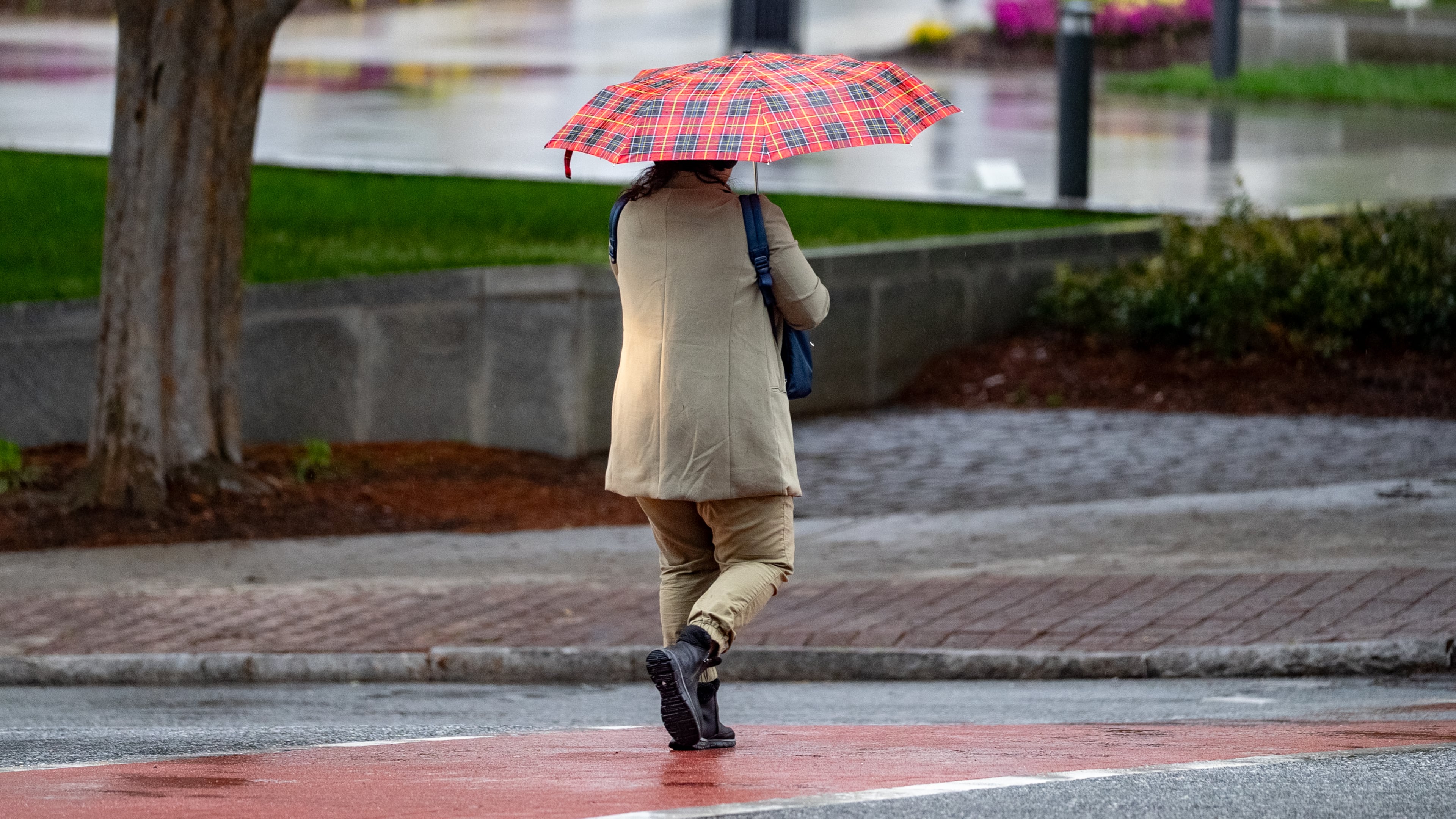 A woman walks down Peachtree Street in the rain on April 7, 2025. Showers have soaked Atlanta's morning drive on Wednesday ahead of cooler weather. (Ben Hendren for the AJC)