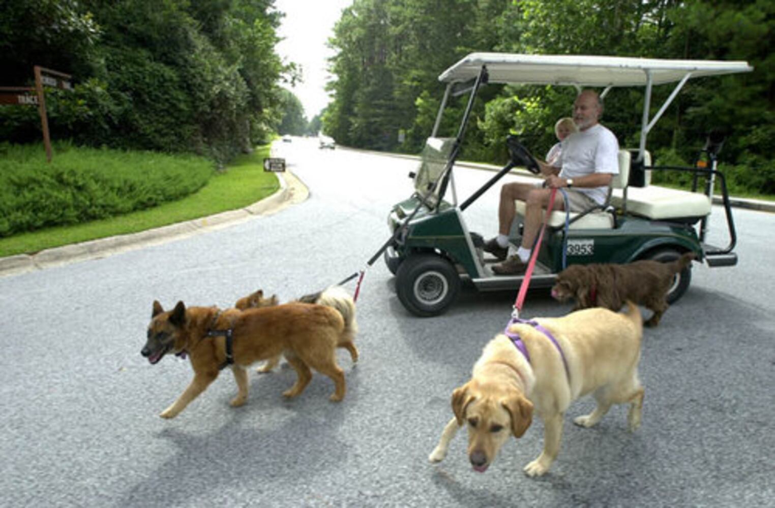 Golf carts in Peachtree City