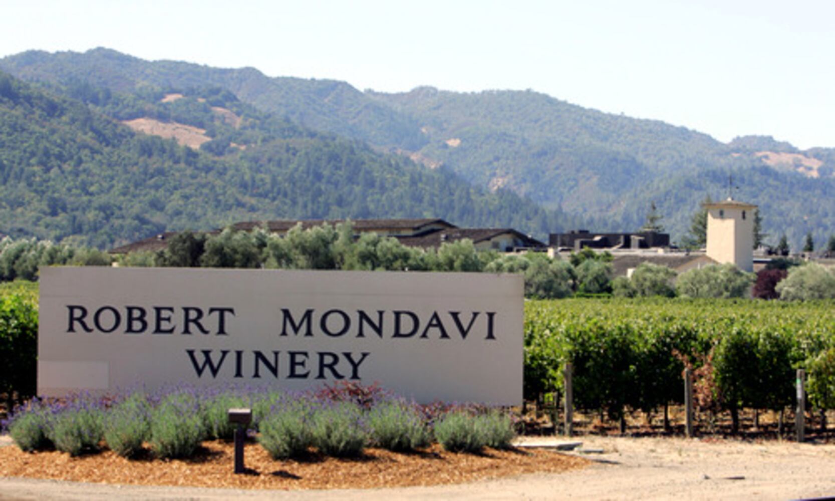 Wine legend Robert Mondavi dies