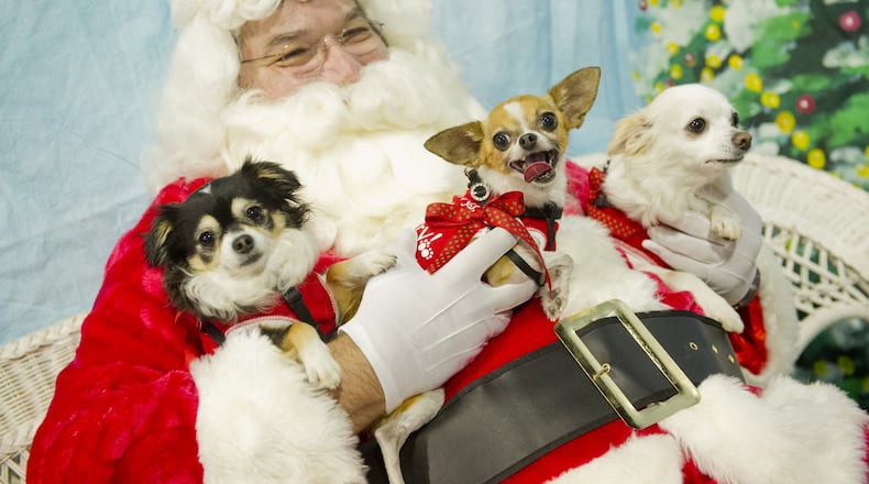 Pets can take their picture with Santa today at the PB Outlets. Jonathan Phillips Special