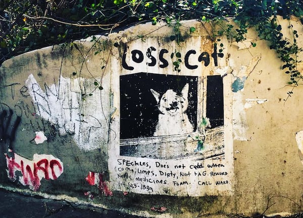 Loss Cat" one of R. Land's most enduring works, out in the world. (Courtesy/R. Land)