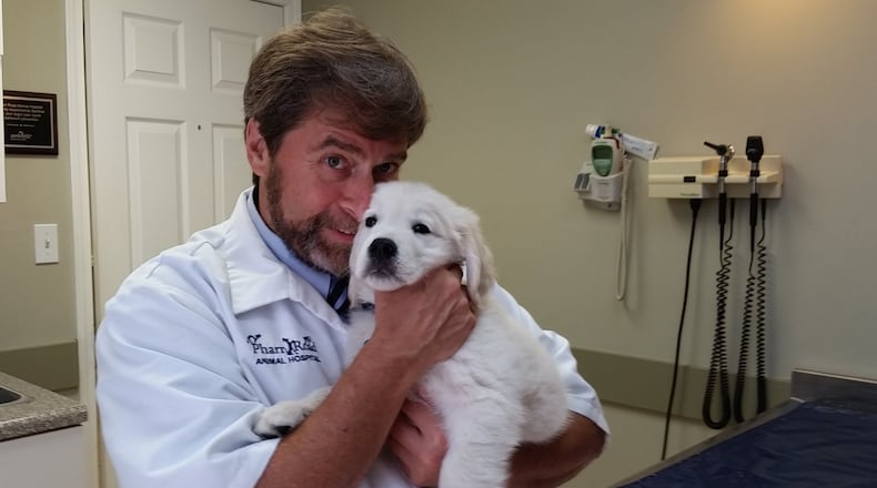 Veterinarian Steve Winokur, who owns Pharr Road Animal Hospital in Buckhead, is a finalist in a competition to find the vet of the year. CONTRIBUTED