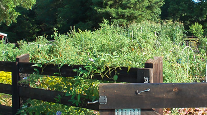 Green Meadows Preserve is one of the most recognizable sites in West Cobb. If approved by West Cobb voters in November 2022, the new Cobb city of Lost Mountain could be formed by July 1, 2023. (Courtesy of Cobb County)