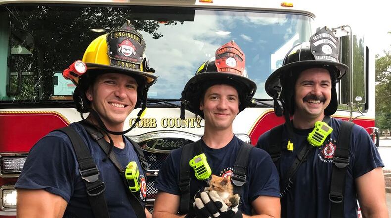 Cobb County Fire and Rescue saved this tiny kitten. They named him Storm.