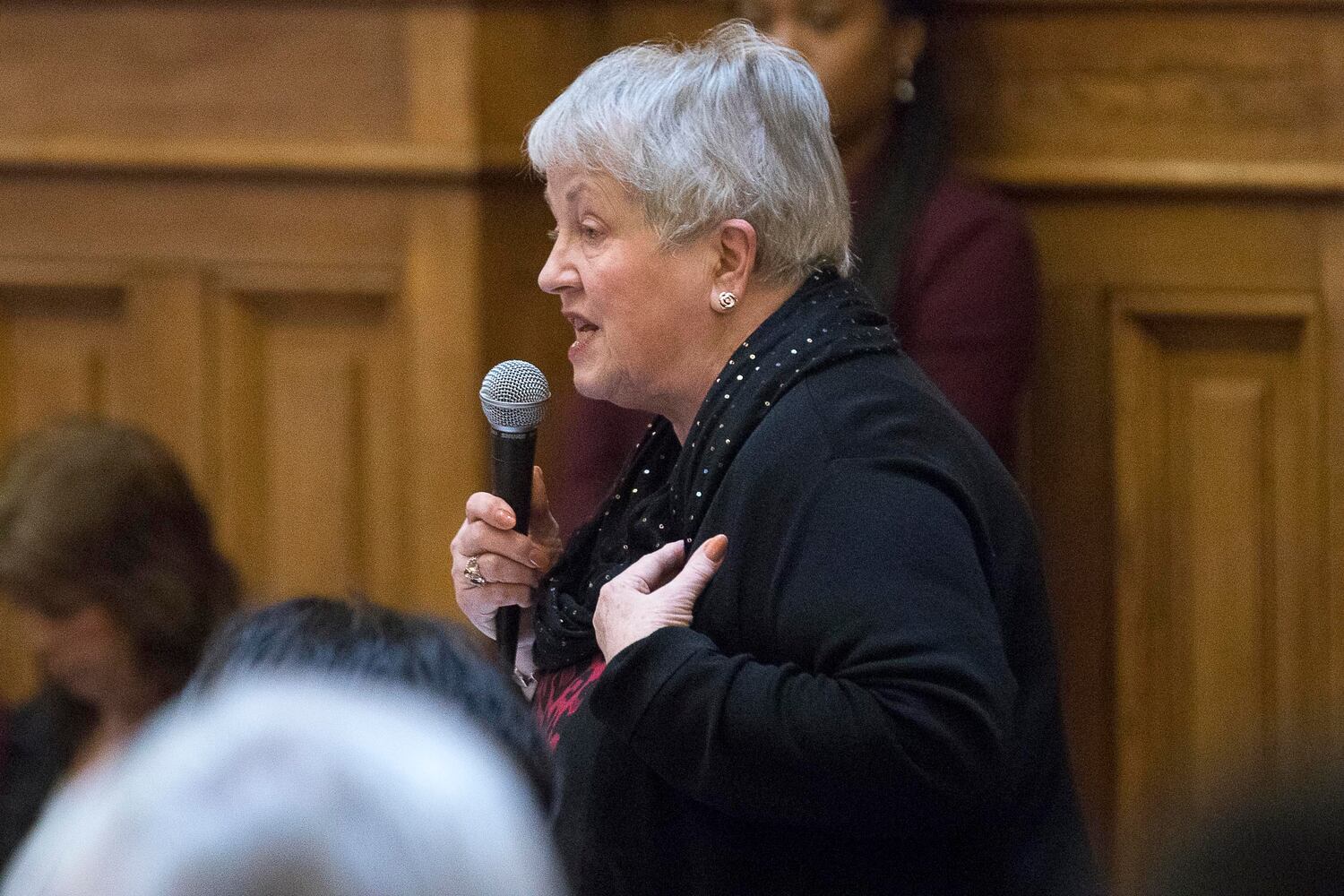 georgia legislature