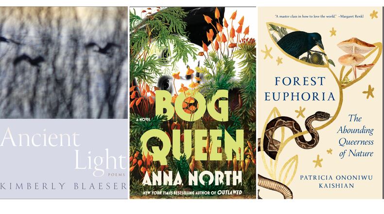 This combination of images shows cover art for "Ancient Light" by Kimberly Blaeser, left, "Bog Queen" by Anna North, center, and "Forest Euphoria: The Abounding Queerness of Nature" by Patricia Ononiwu Kaishian. (University of Arizona Press/Bloomsbury Publishing/Spiegel & Grau via AP)