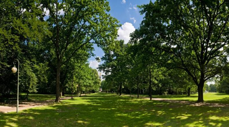 Brookhaven plans to buy and maintain 33 acres of forested land.