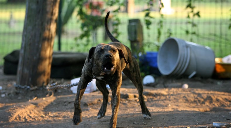 In Roswell, it is now illegal to leave a dog outside and tied to a tree or other object unattended.