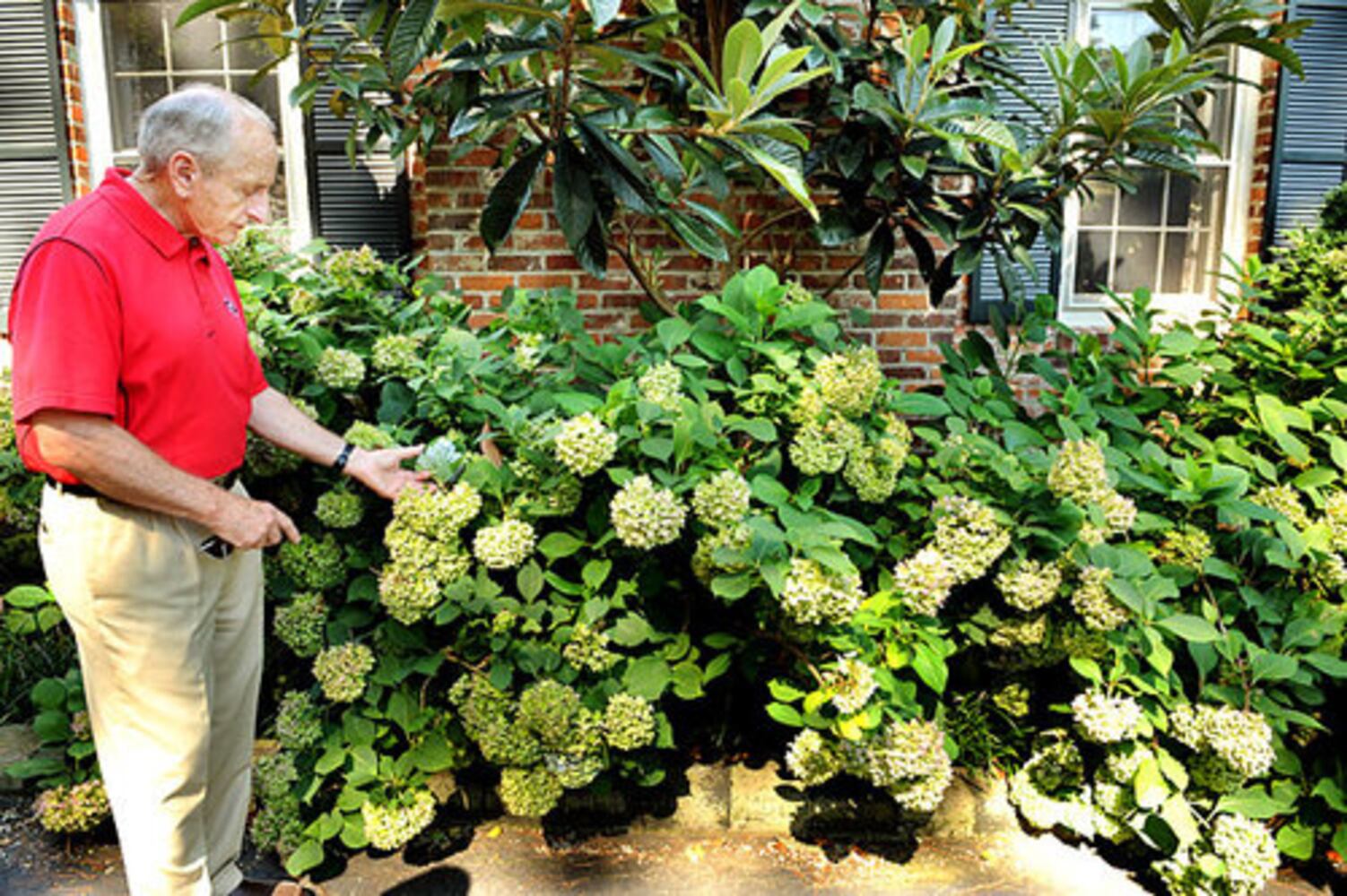 Vince Dooley's Amazing Garden