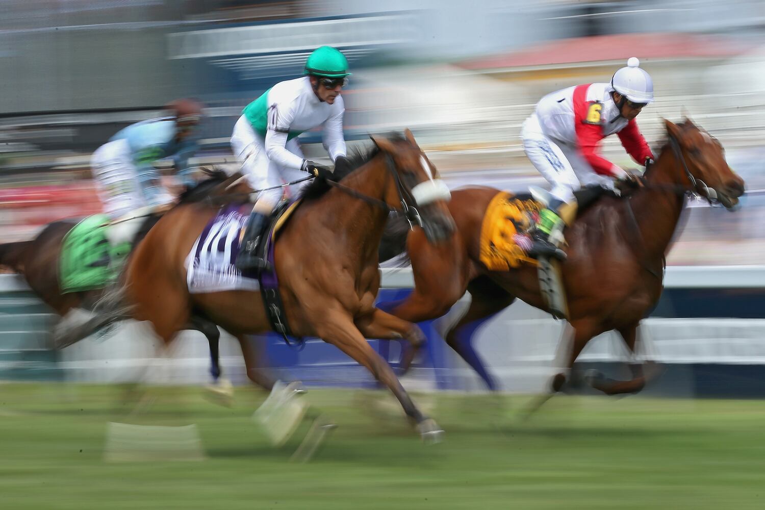 American Pharaoh wins 2015 Preakness Stakes