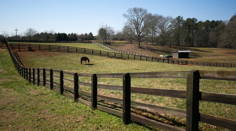 February 11, 2016 - Milton, Ga: A horse grazes in the pasture in Fortitude Farm at Yellow House Farm Thursday, February 11, 2016, in Milton, Ga. The Yellow House Farm has thirty-eight stalls, a covered arena, and a few pastures. The Yellow House Farm is one of many horse farms in Milton.