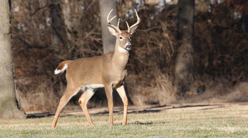 FILE PHOTO: The Michigan Sportsmen Against Hunger has donated more than 54,000 pounds of venison to food banks across the state, a record amount for the group.