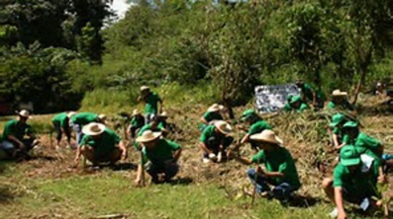 35 trees should be planted in Georgian Hills Park Saturday.