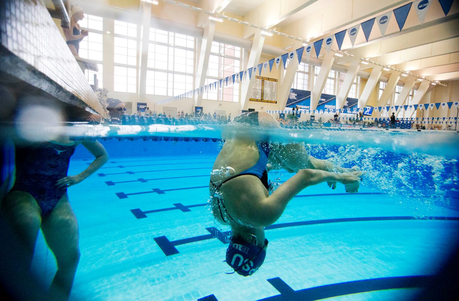 NCAA swimming and diving