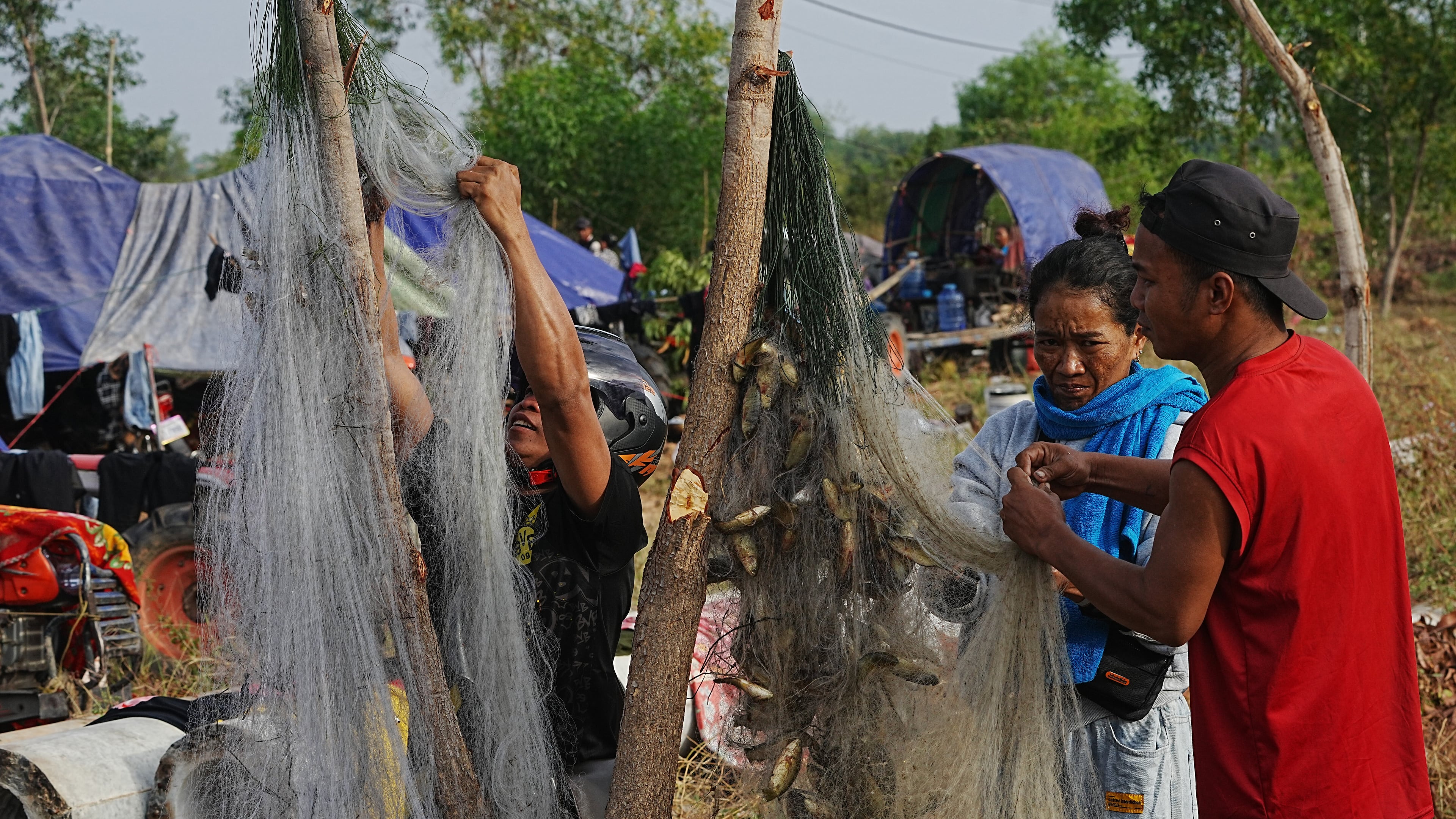 People take off fish from net for their meal as they take refuge in Srey Snam, Siem Reap province, Cambodia Wednesday, Dec. 10, 2025, after fleeing from home following a fighting between Thailand and Cambodia over territorial claims. (AP Photo/Heng Sinith)
