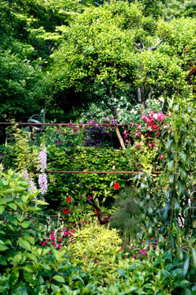 Linger in this Virginia-Highland garden