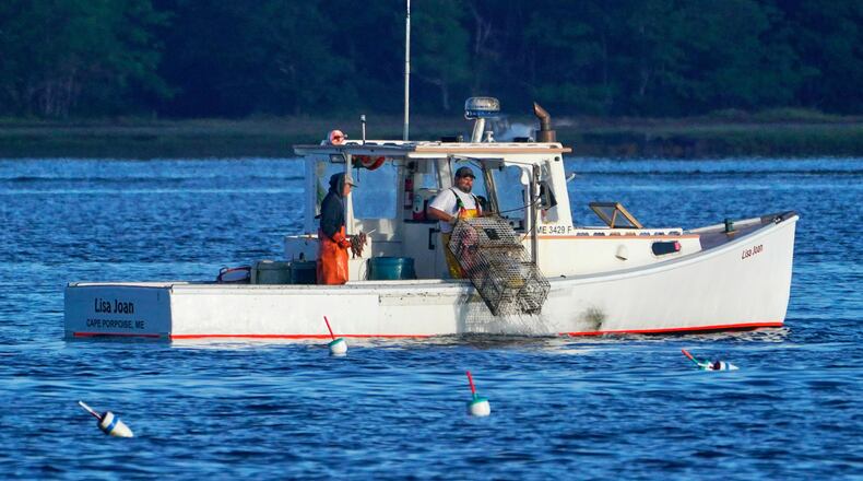FILE - A lobster fisherman hauls a trap, Sept. 8, 2022, off of Kennebunkport, Maine. (AP Photo/Robert F. Bukaty, file)