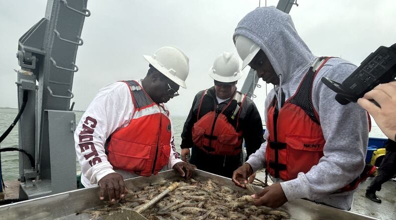 (Left to right) Isaac Martin, Timmy Stubbs and Aaron Drake examine shrimp brought up in nets from the Wassaw Sound.