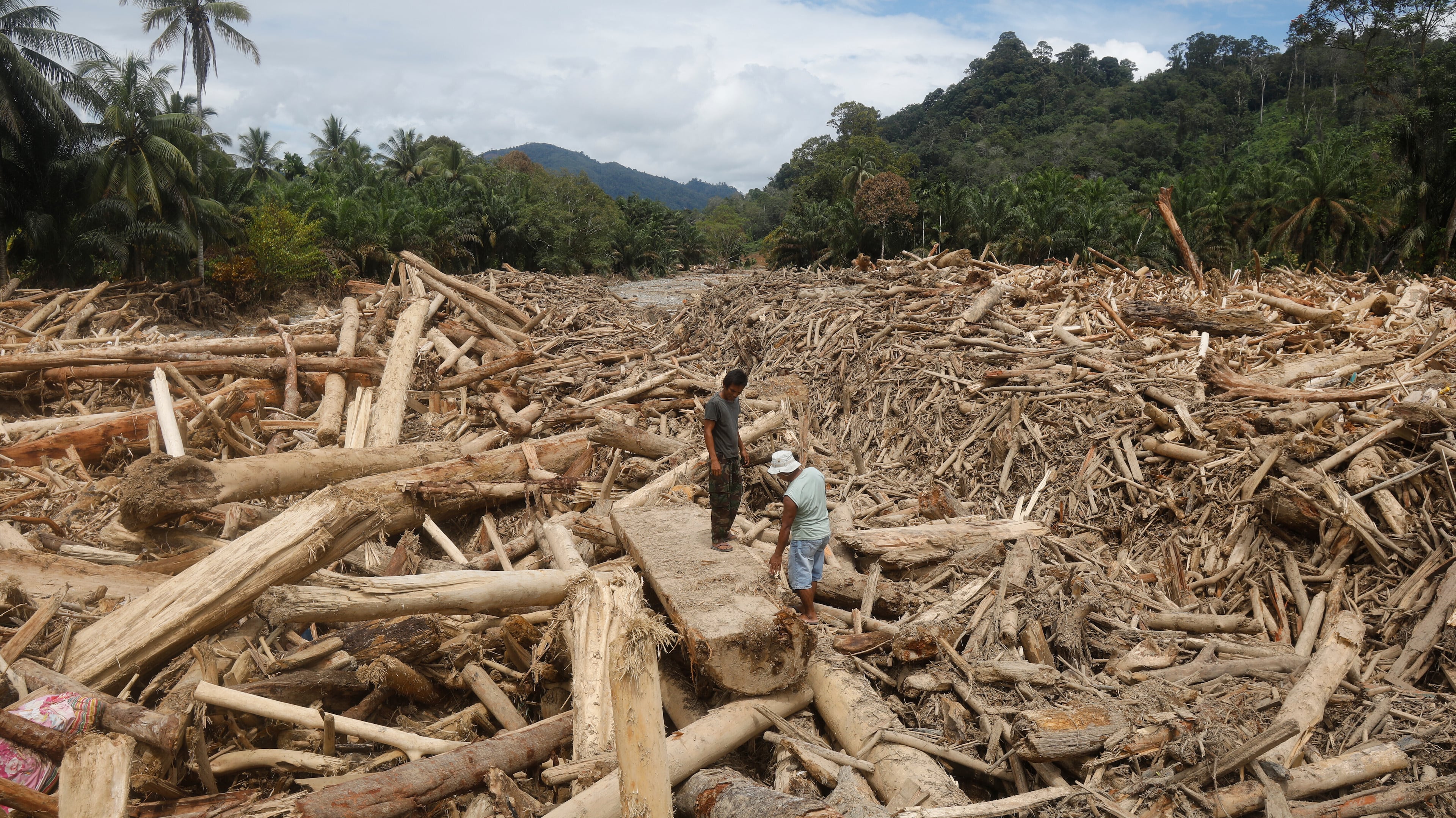 Men stand on logs swept away by flash flood in Batang Toru, North Sumatra, Indonesia, Tuesday, Dec. 2, 2025. (AP Photo/Binsar Bakkara)