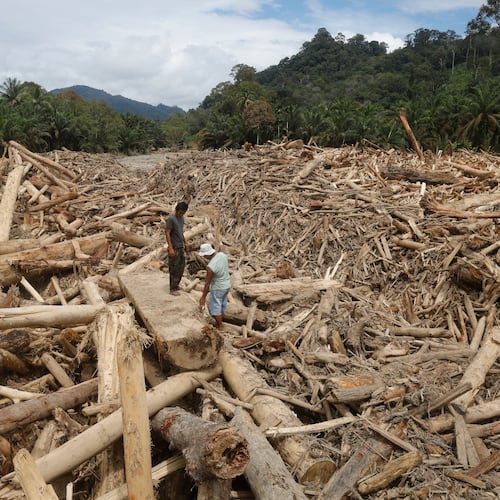 Men stand on logs swept away by flash flood in Batang Toru, North Sumatra, Indonesia, Tuesday, Dec. 2, 2025. (AP Photo/Binsar Bakkara)