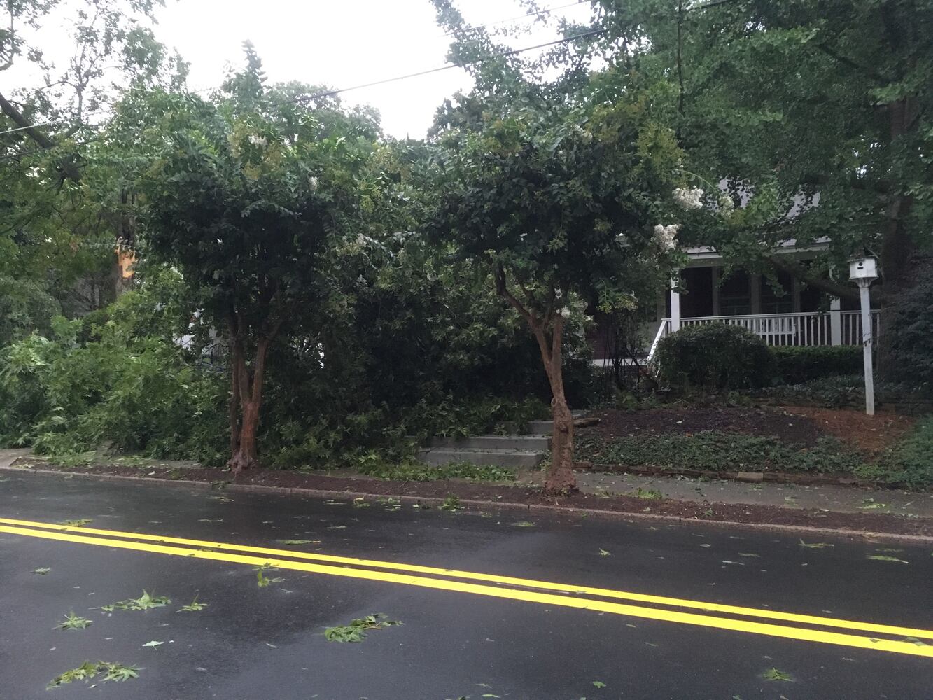 PHOTOS: Trees down after storms in metro Atlanta