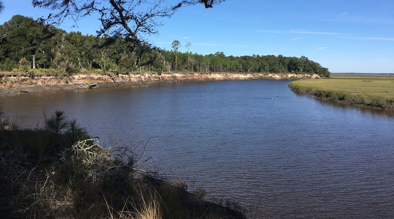 The Conservation Fund and Open Space Institute have purchased 16,000 acres of Georgia coastline in Southeast Georgia to conserve the ecologically important area.