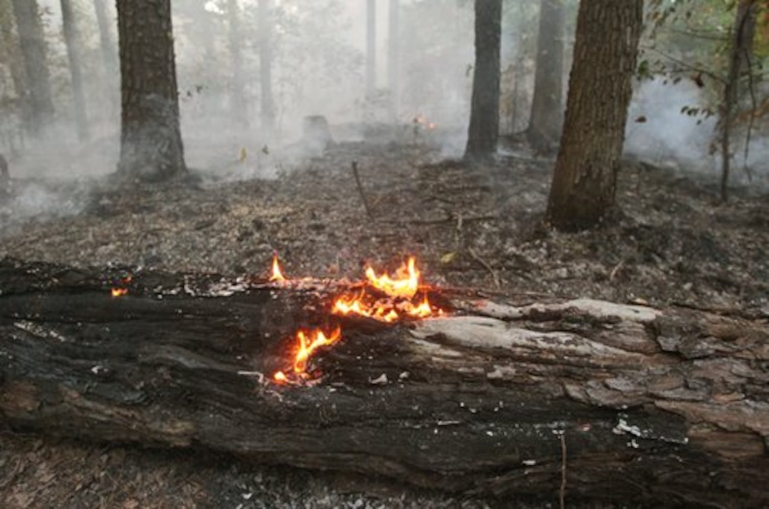DeKalb firefighters fight brush fire near I-285