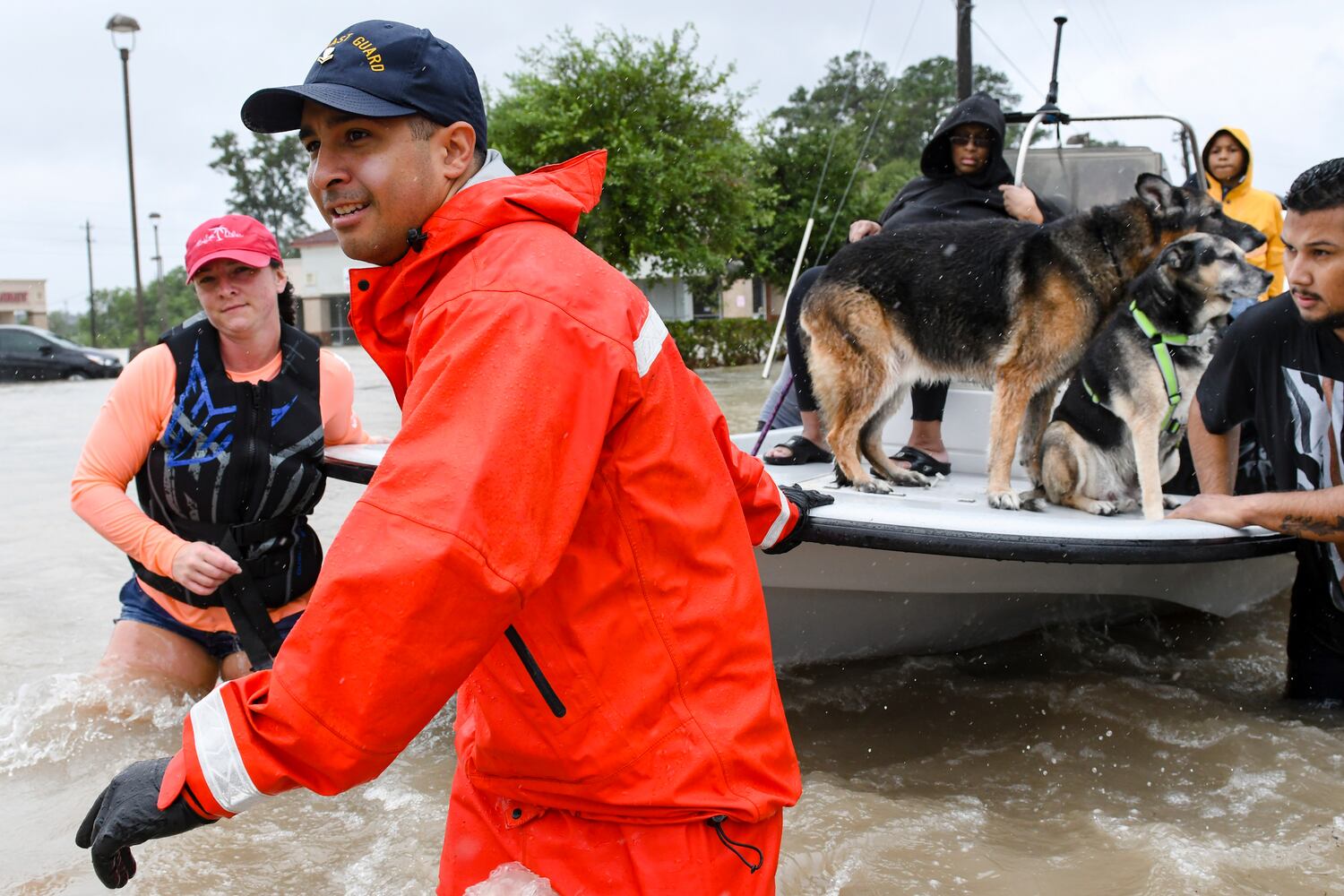 Photos: Harvey’s impact on people and pets