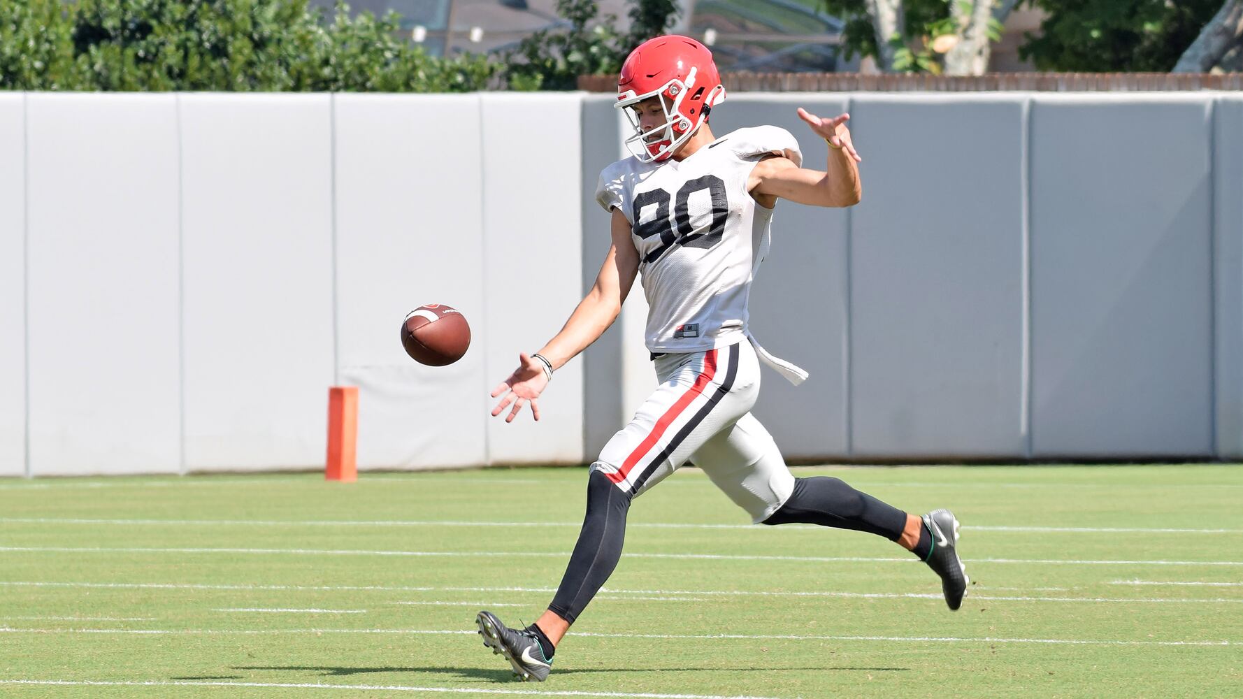 Georgia Bulldogs