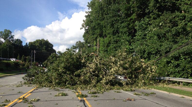 A tree blocked Roswell Road in the 7700 block. (Credit: Sandy Springs Police Department)