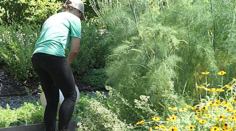 Andrea Richards trains the Natural Born Tillers landscape crew that creates an edible urban garden for EpiCity Real Estate Services in Atlanta. Here, she tends to the plants like fennel and rosemary that both produce food and attract pollinators.