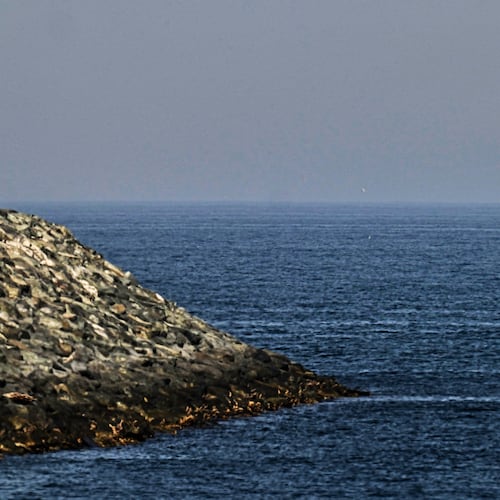 Cargo ships are seen at sea near the Strait of Hormuz, as viewed from a rocky shoreline near Khor Fakkan, United Arab Emirates, Friday, May 1, 2026. (AP Photo/Fatima Shbair)