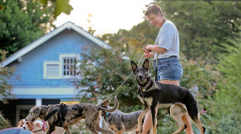 Samma Blackburn walks her own dog and some of her clients’ dogs along Boulevard at Grant Park on Aug. 13, 2014. The dogs might have slower cars to bark at on this stretch of Boulevard.