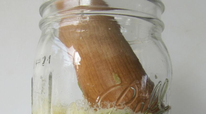 Lacto-fermentation is the process of using lactobacillus bacteria to break down naturally occurring sugars in things like cabbage to make lactic acid, a preservative that inhibits the growth of bacteria that can make you sick. Photo by Kristen Shockley.