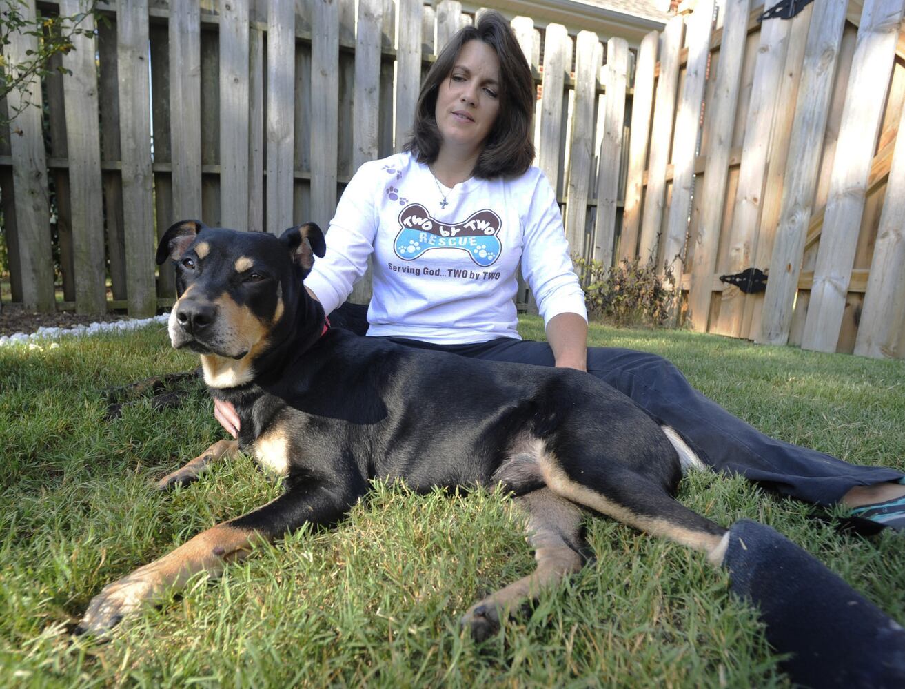 Lazarus the dog that wouldn't die