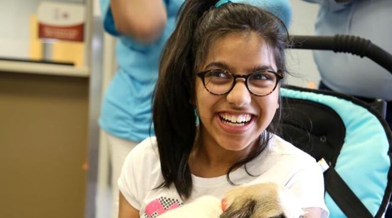 Gwinnett Animal Welfare and Enforcement is joining shelters and rescues nationwide during August for the Clear the Shelters adoption drive. (Courtesy Gwinnett Animal Welfare and Enforcement)