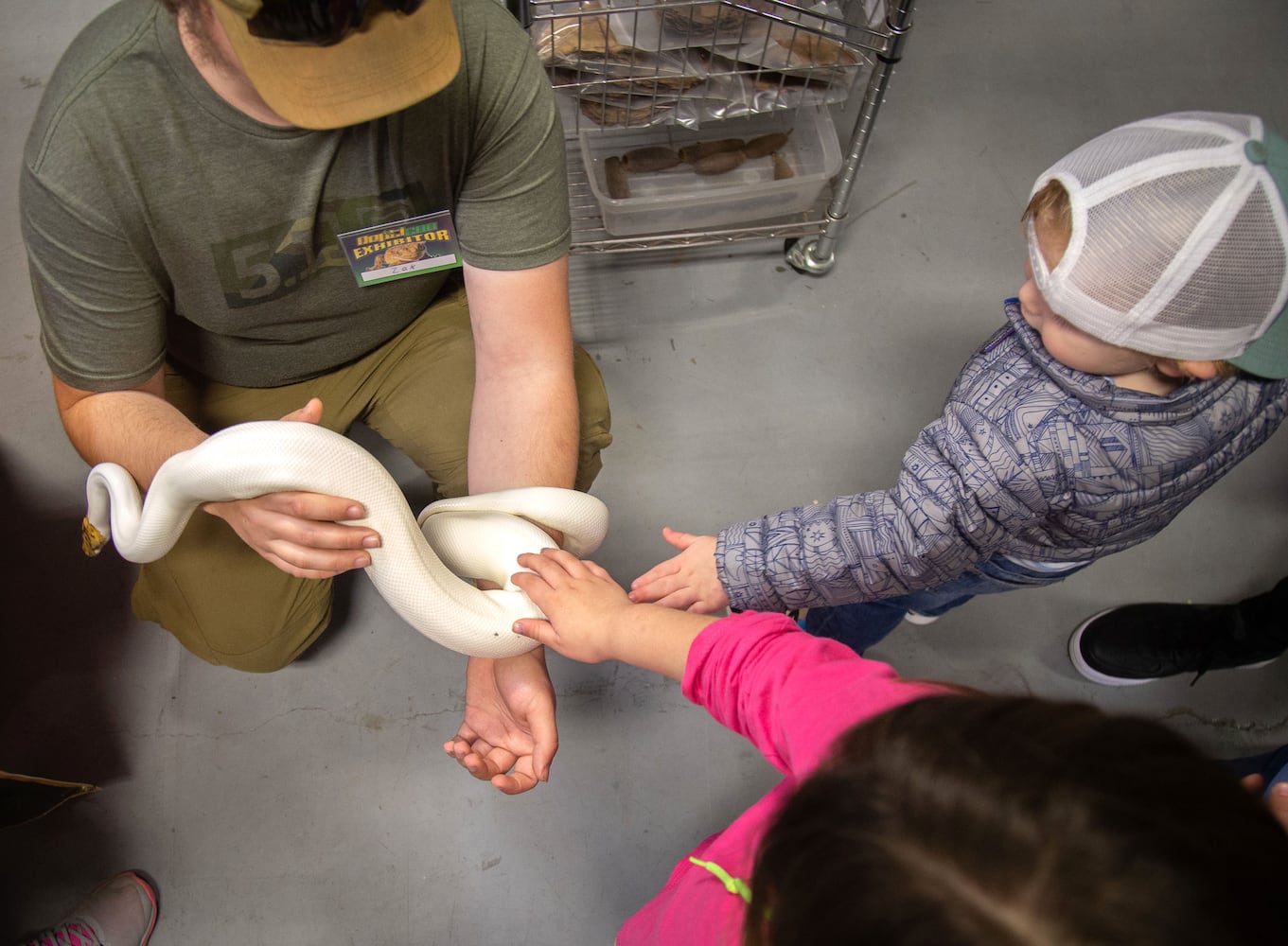 PHOTOS: Repticon 2020